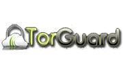 Torguard screenshot